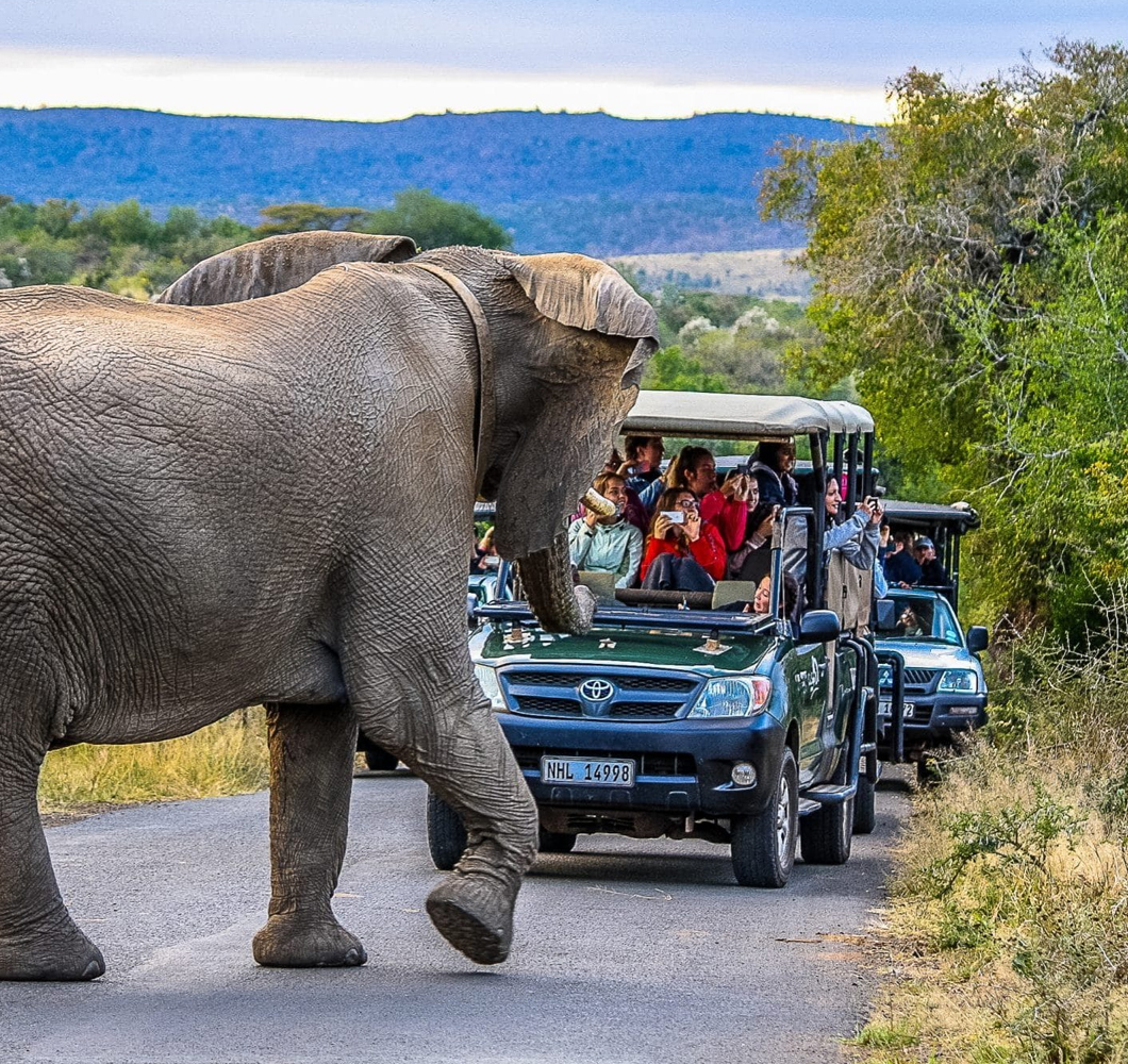 luxury african safari packages