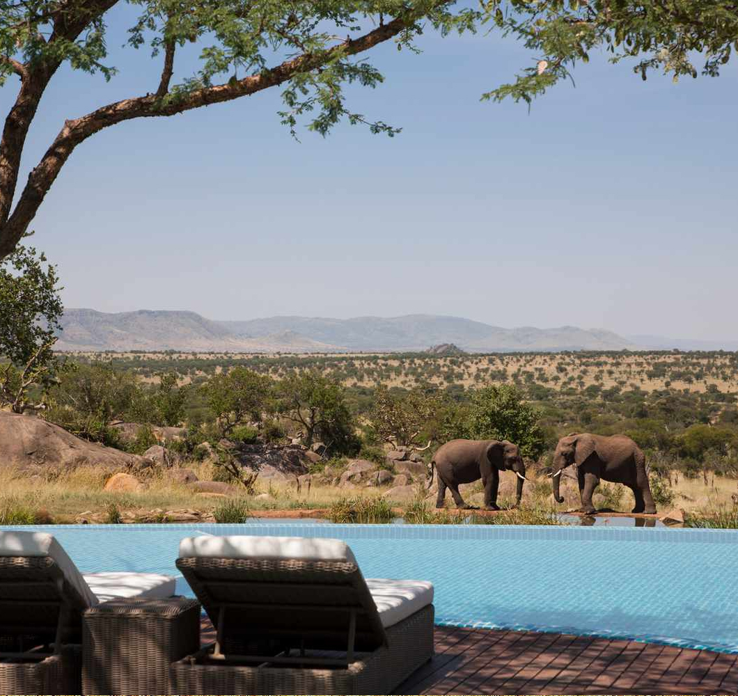 african safari packages from usa