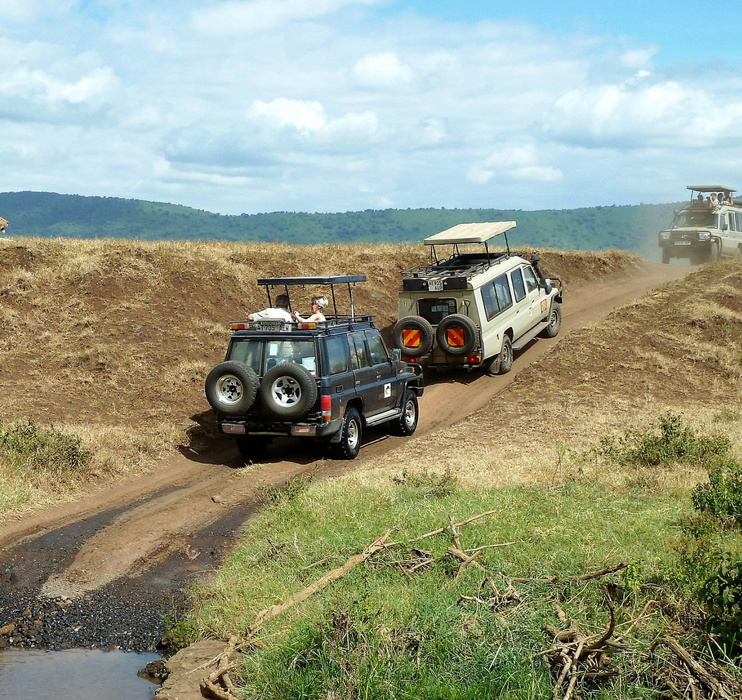 Tanzania budge camping safaris