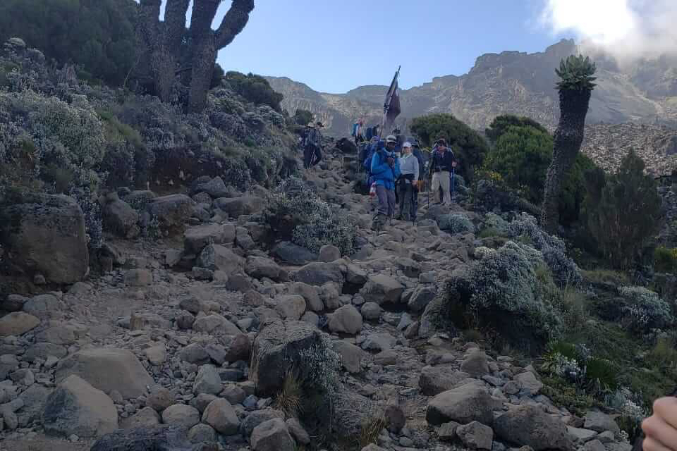 Kilimanjaro adventure with Kiboko Safaris