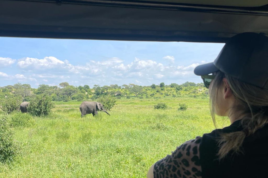 Tanzania filmily safaris